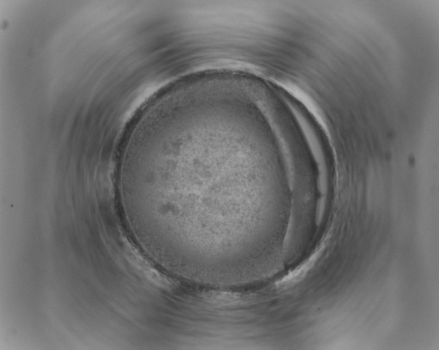 X0000089700783200706211317