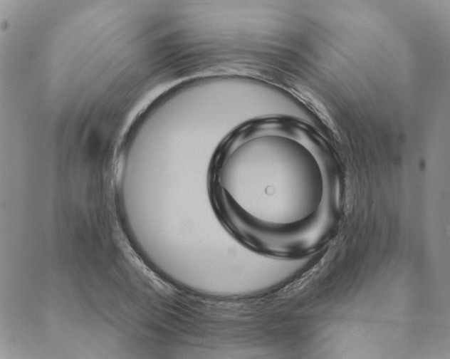 X0000089700784200706211317