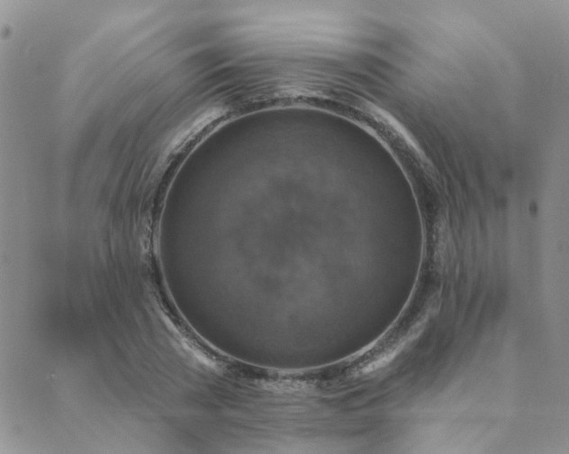 X0000089700785200706211317