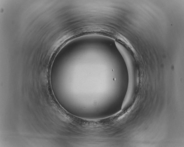 X0000089700786200706211317