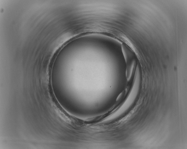 X0000089700787200706211317