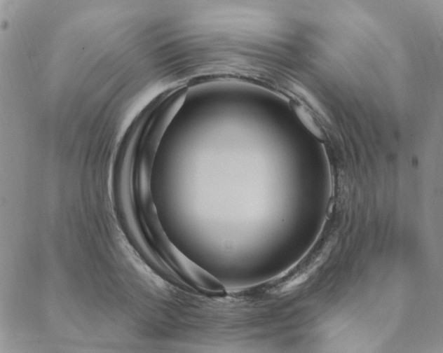 X0000089700788200706211317