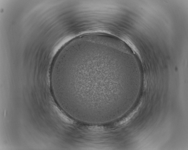 X0000089700789200706211317