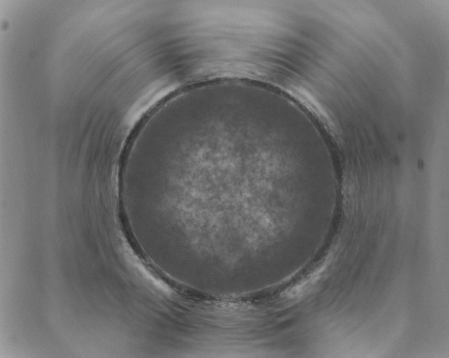 X0000089700790200706211317