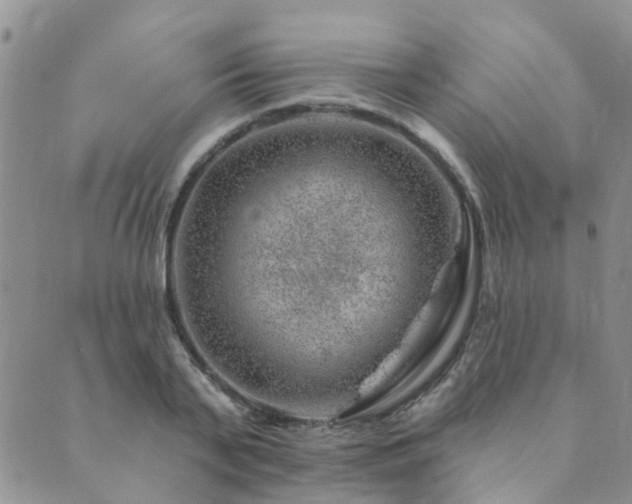 X0000089700791200706211317