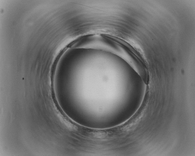 X0000089700792200706211317