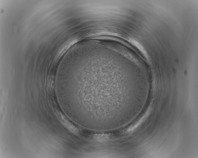 X0000089700793200706211317