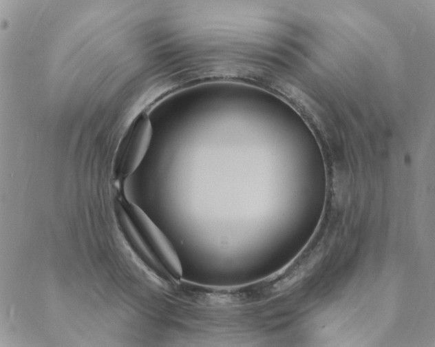 X0000089700794200706211317