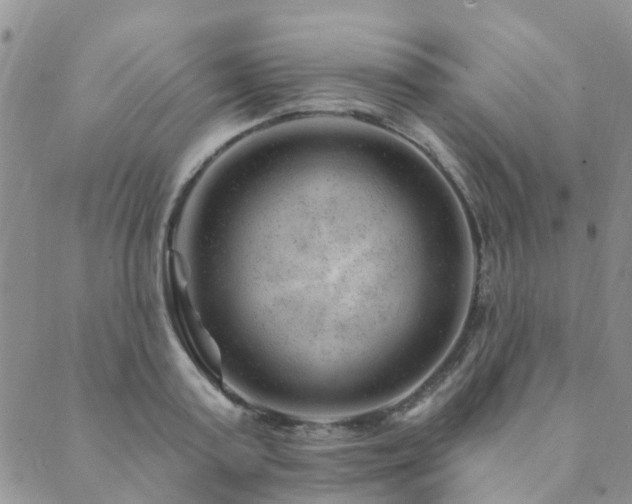 X0000089700795200706211317