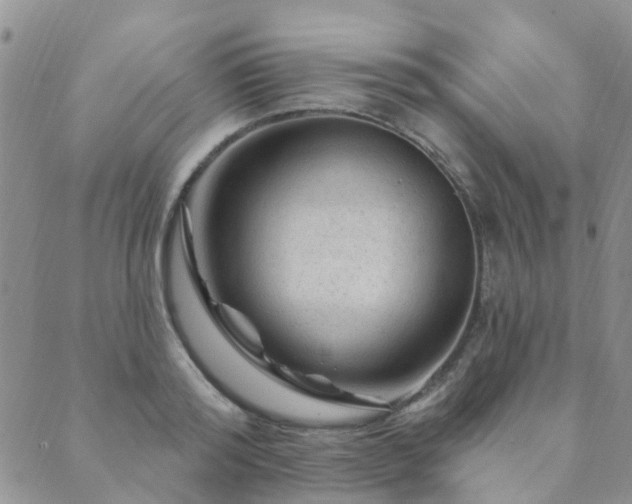 X0000089700796200706211317