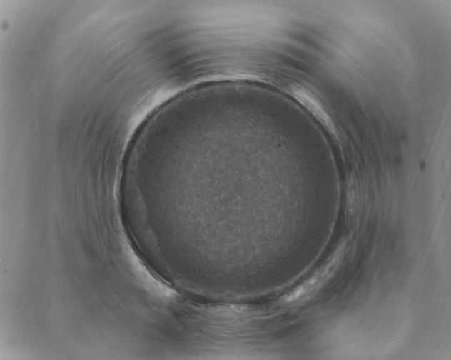 X0000089700797200706211317