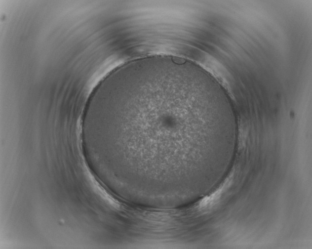 X0000089700798200706211317