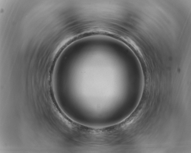 X0000089700799200706211317