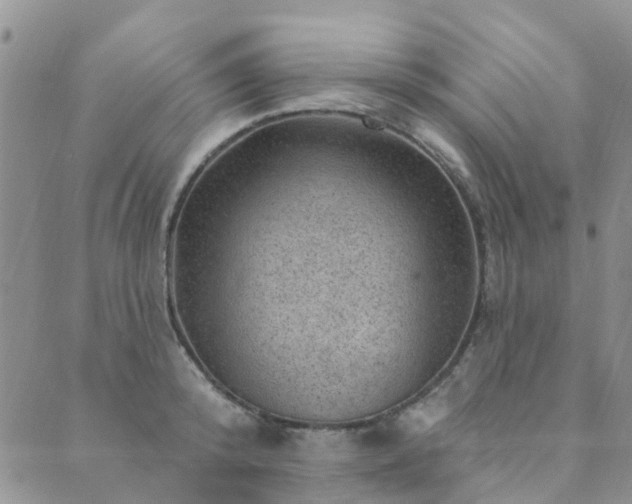 X0000089700800200706211317