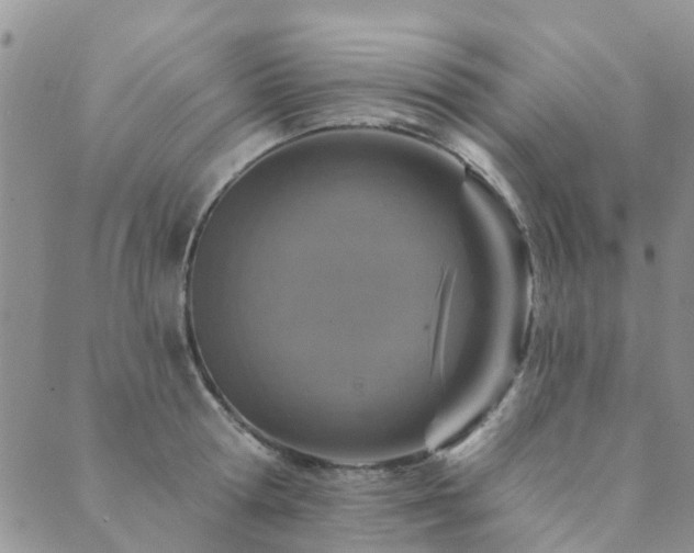 X0000089700802200706211317