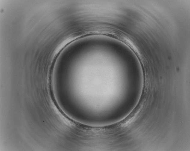 X0000089700803200706211317