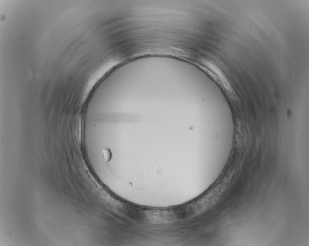 X0000089700804200706211317