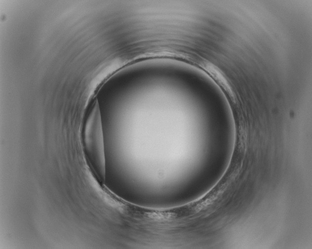 X0000089700805200706211317