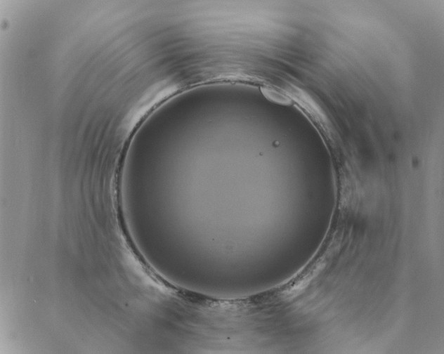 X0000089700806200706211317