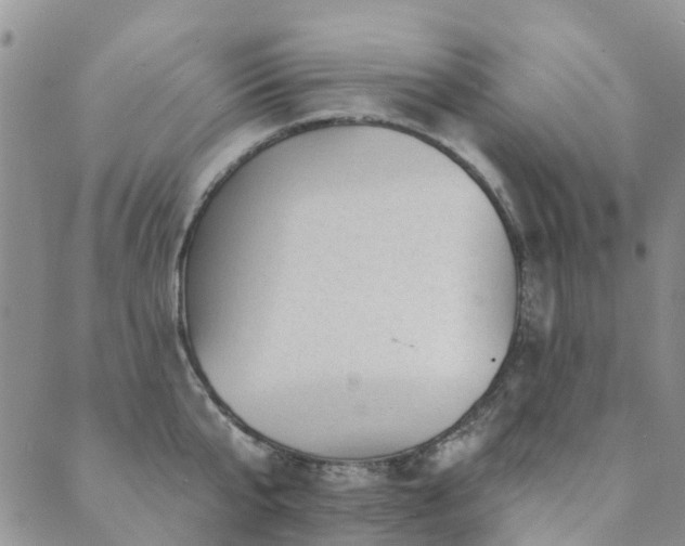 X0000089700807200706211317