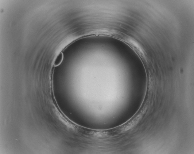 X0000089700808200706211317