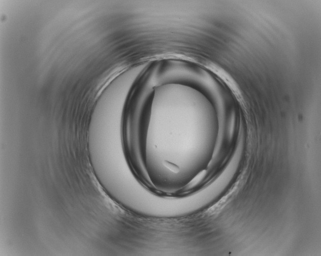 X0000089700809200706211316