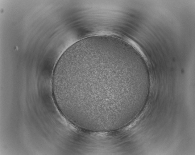 X0000089700810200706211316