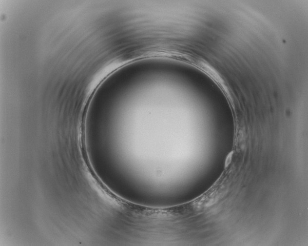 X0000089700811200706211316