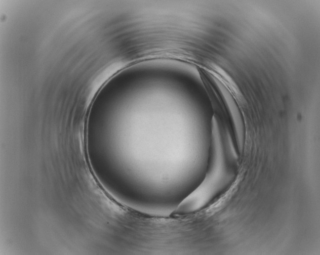 X0000089700812200706211316