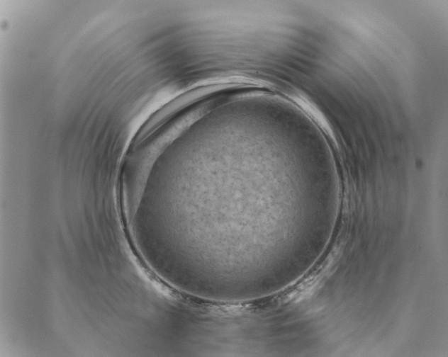 X0000089700813200706211316