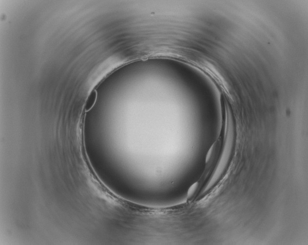 X0000089700814200706211316