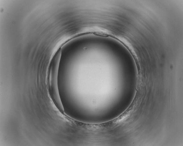 X0000089700815200706211316