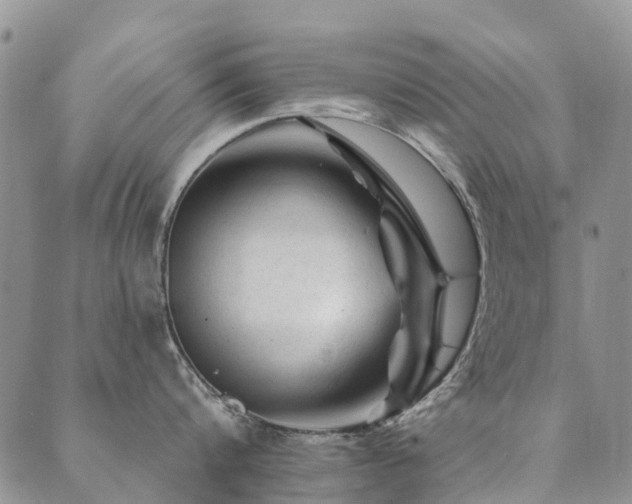 X0000089700816200706211316