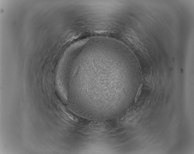 X0000089700817200706211316