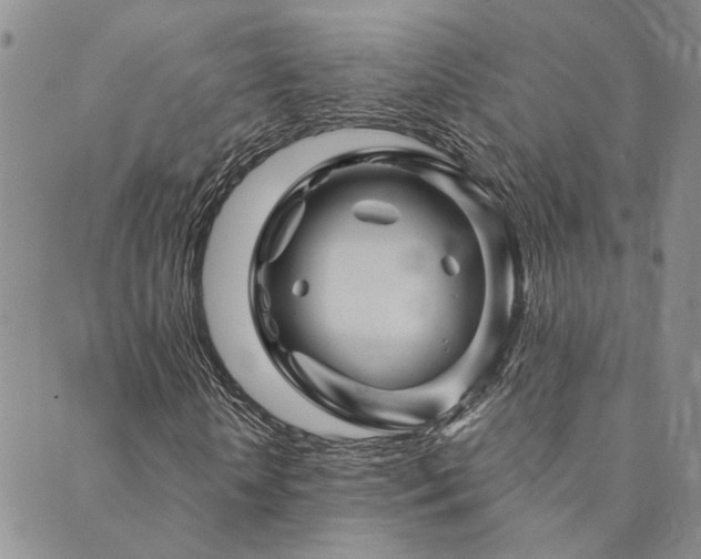 X0000089700818200706211316