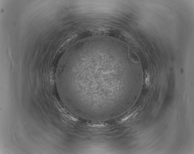 X0000089700819200706211316