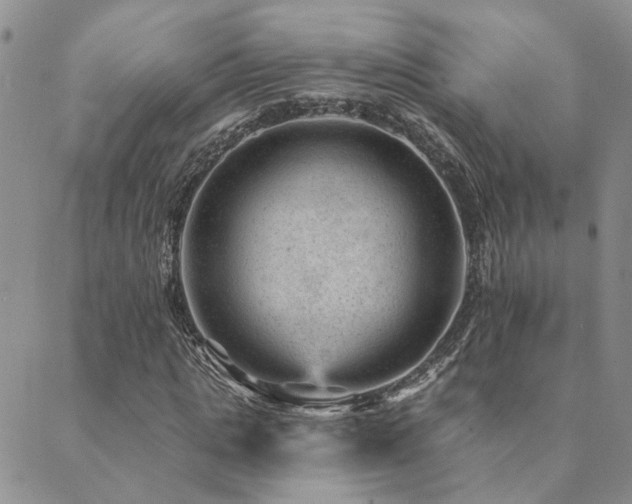 X0000089700821200706211316