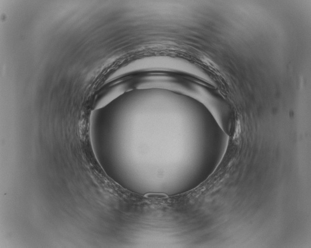 X0000089700822200706211316