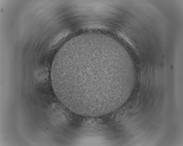 X0000089700824200706211316