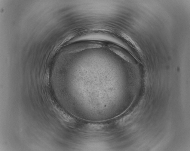 X0000089700825200706211316