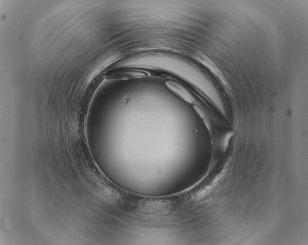 X0000089700826200706211316