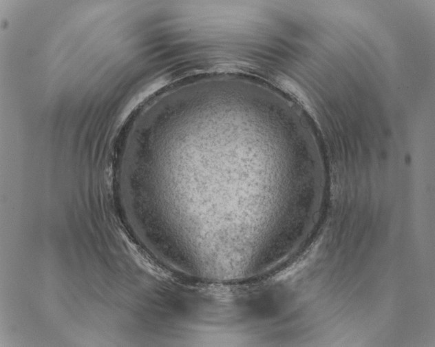 X0000089700827200706211316