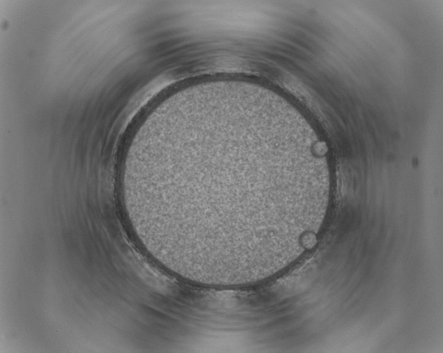 X0000089700828200706211316