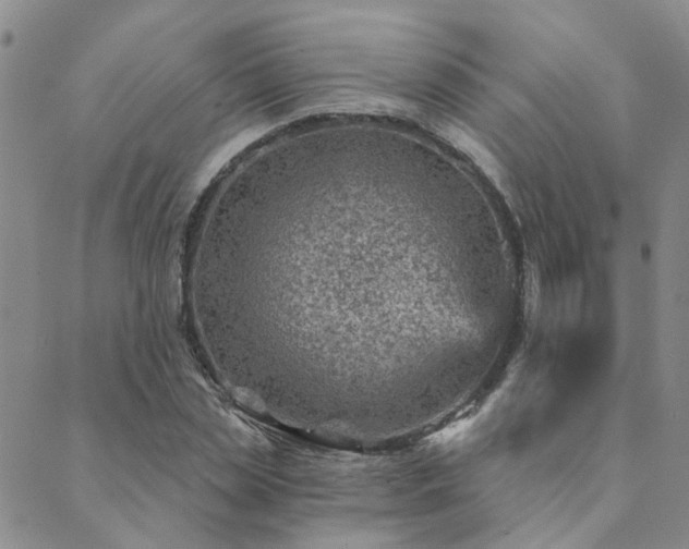 X0000089700829200706211316