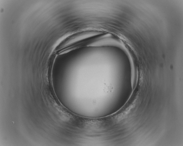 X0000089700830200706211316