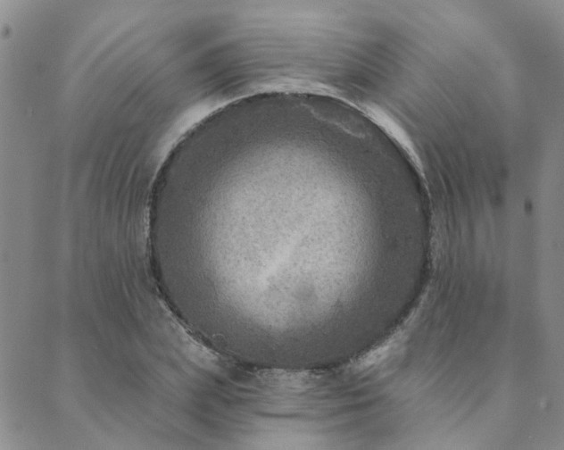 X0000089700831200706211316