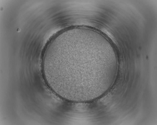 X0000089700832200706211316