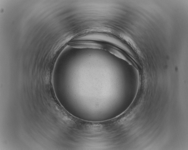 X0000089700833200706211316