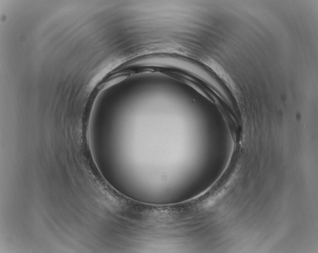 X0000089700834200706211316