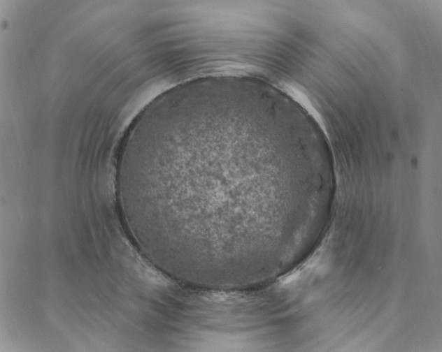 X0000089700835200706211316